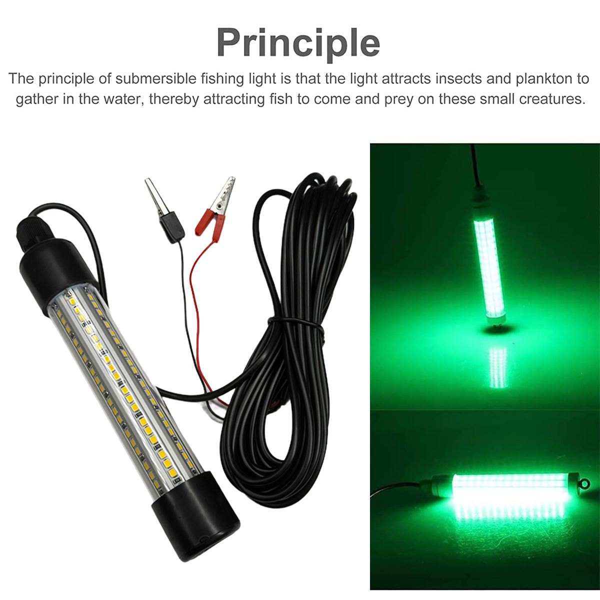 Led 수중 낚시등 탐어등 방한 선등 냉백/온백/녹색/ - Fishing Boat Depth Finder 리뷰 및 가격